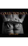 Image de couverture de COLLECTION LOVA SPICY