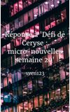 Image de couverture de Réponse à "Défi de Ceryse : micro-nouvelles semaine 20"