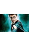 Image de couverture de Harry Potter et la clé des deux destins