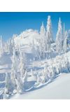 Image de couverture de Une maison dans la neige