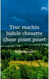 Image de couverture de Truc machin bidule chouette chose pouet pouet