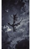 Image de couverture de Le chant de la Mésange