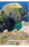 Image de couverture de La falaise (Loreleï)