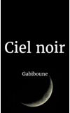 Image de couverture de Ciel noir