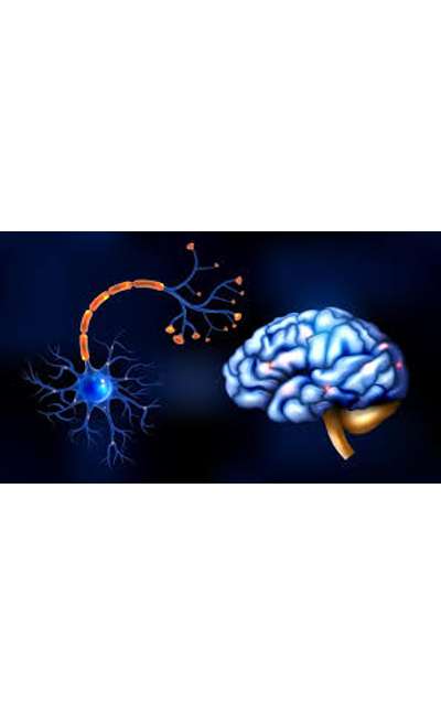 Image de couverture de Réponse à "Overdose"