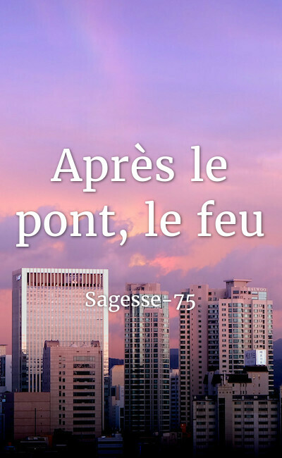 Image de couverture de Saut d'un pont