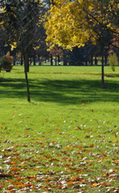 Image de couverture de JOSIANE