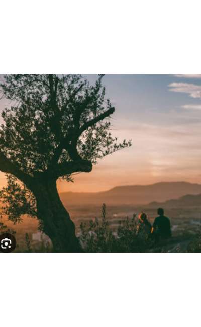 Image de couverture de Un cœur à rénover