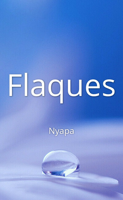 Image de couverture de Flaques