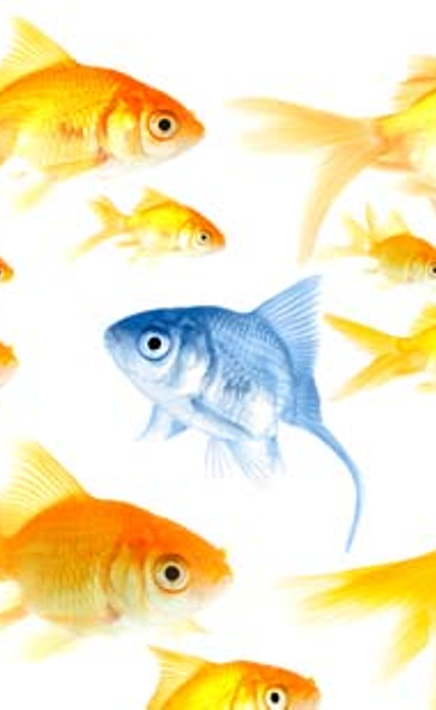 Image de couverture de Ordinaire d'une différence