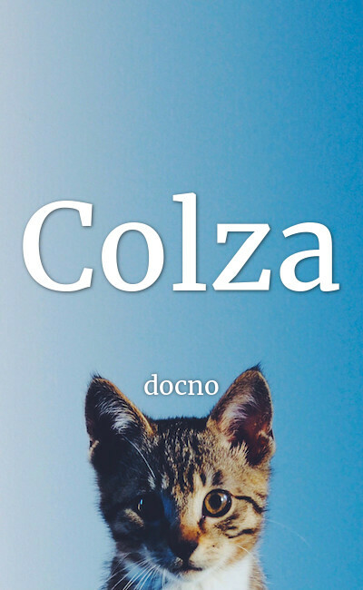 Image de couverture de Colza