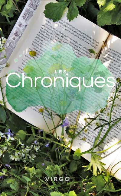 Image de couverture de Chronique Image
