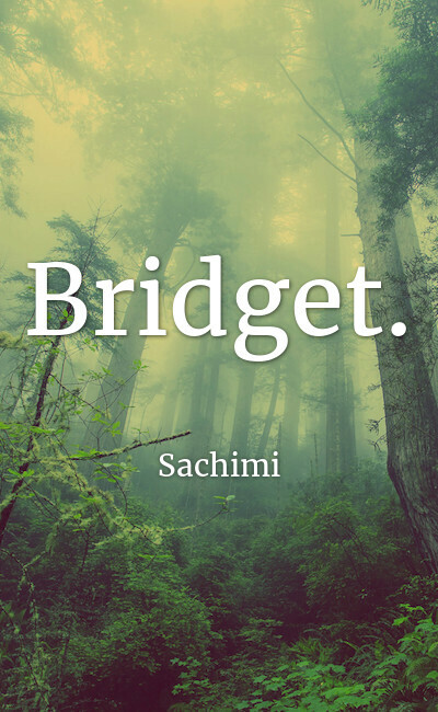 Image de couverture de Bridget.
