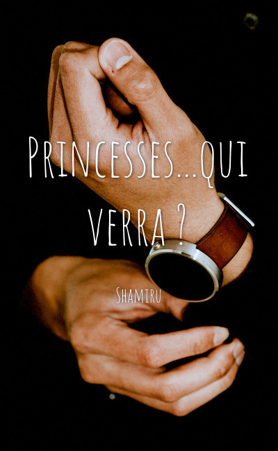 Image de couverture de Princesses...qui verra ?