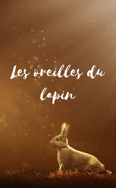 Image de couverture de Les oreilles du lapin