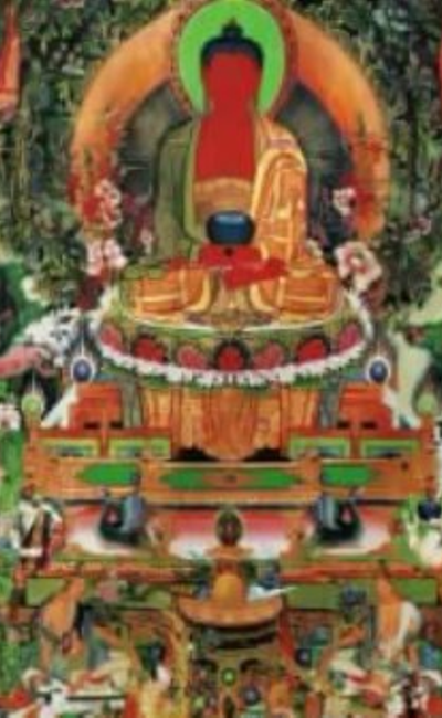 Image de couverture de LA TERRE PURE DU BOUDDHA AMITABHA (introduction)