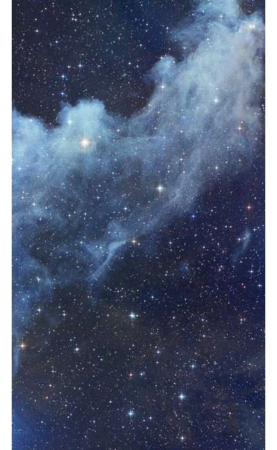 Image de couverture de XVII