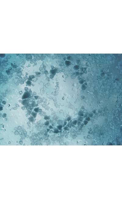 Image de couverture de UNCD #236 - Avalanche d'eaux et de souvenirs (Nouvelle)