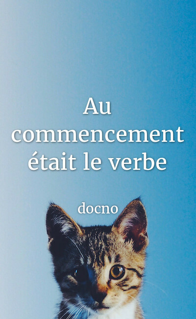 Image de couverture de Au commencement était le verbe