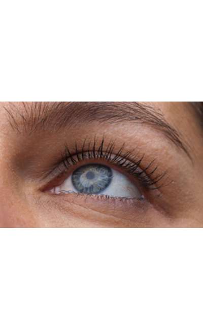 Image de couverture de Chapitre 7