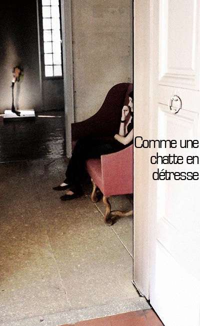 Image de couverture de Comme une chatte en détresse
