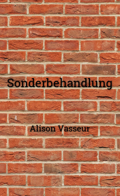 Image de couverture de Sonderbehandlung