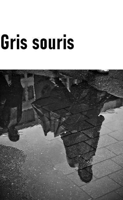 Image de couverture de Gris souris