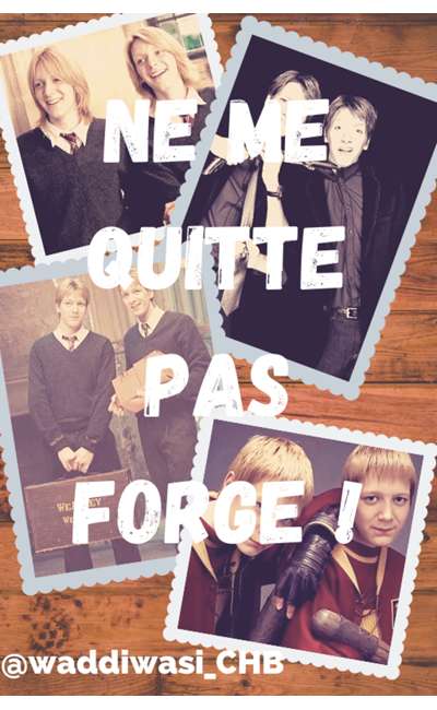Image de couverture de Ne me quitte pas Forge !