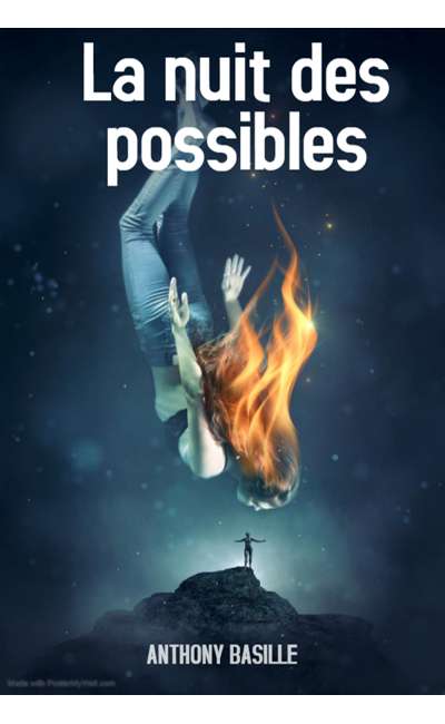 Image de couverture de La nuit des possibles