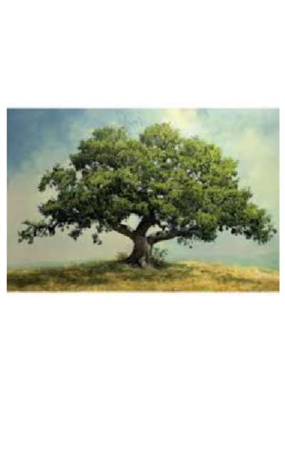 Image de couverture de Daphné et Charmille