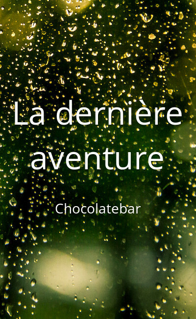 Image de couverture de La dernière aventure