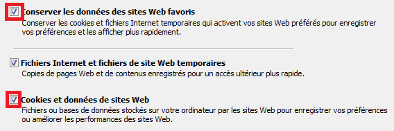 Pour supprimer ces informations, cochez les cases correspondantes et cliquer sur Supprimer.