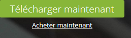 Cliquez sur le bouton vert pour lancer le téléchargement