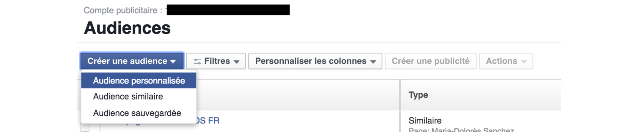 Créez une audience personnalisée en cliquant sur
