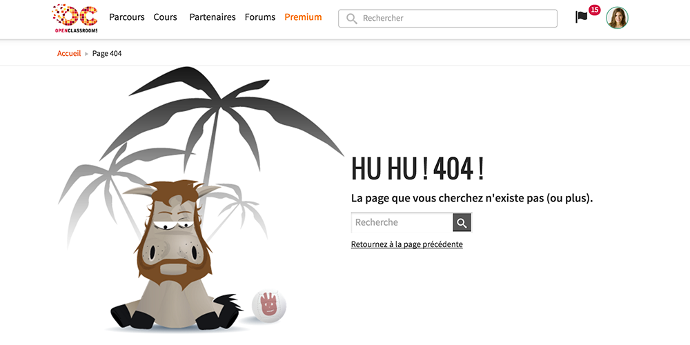 Page erreur du site OpenClassrooms