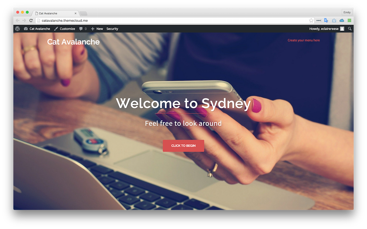 Sydney theme applied to my sample site