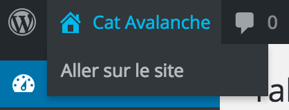 Prévisualisez votre site