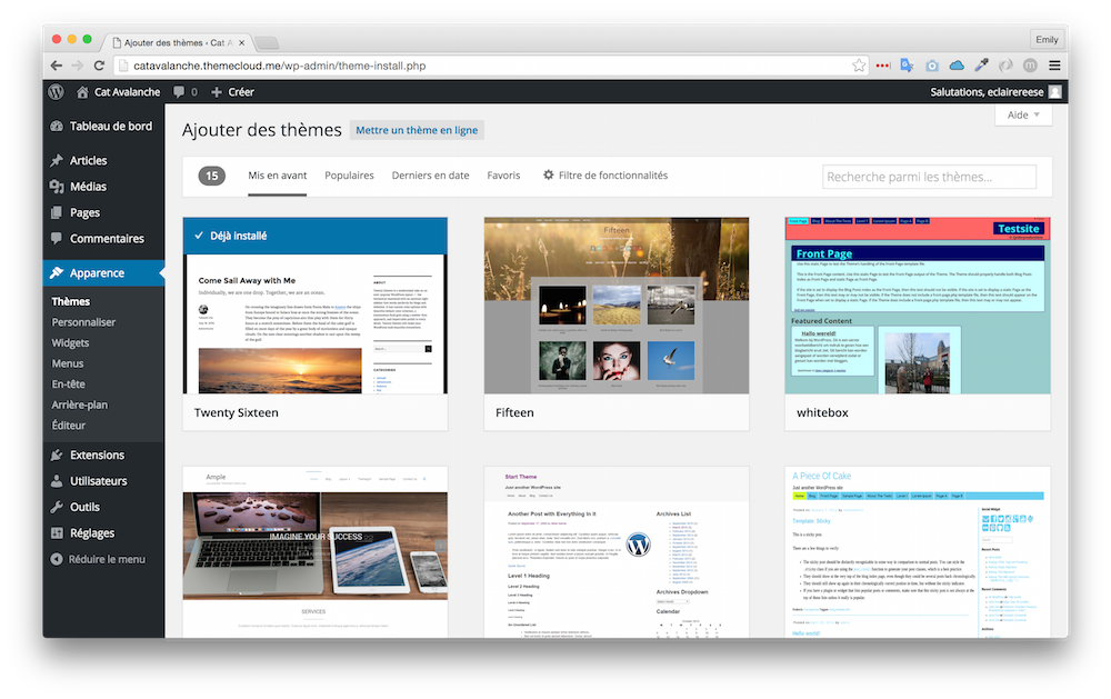 Le sélecteur de thèmes de WordPress