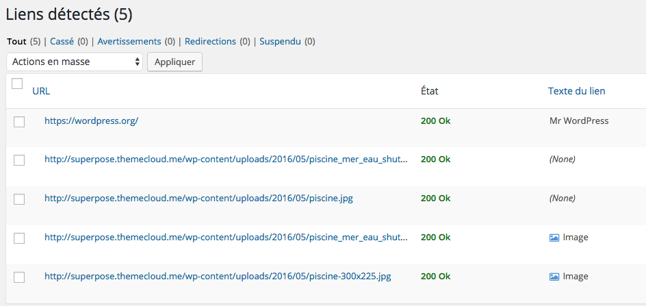 L'extension Broken Link Checker en action