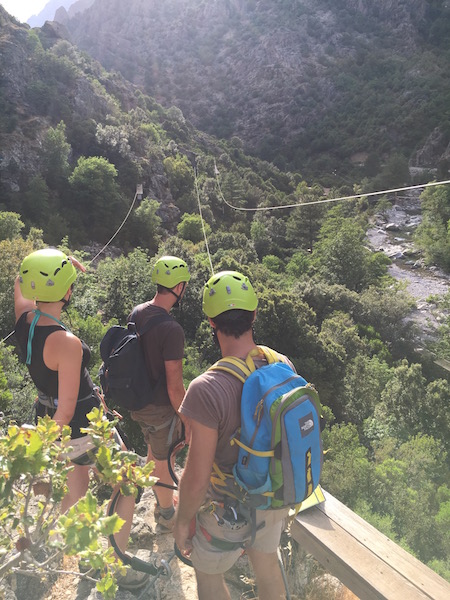 Ziplines! For the brave who wanted to try them :)