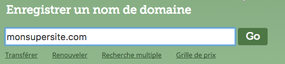 Test de la disponibilité d'un nom de domaine sur Gandi