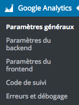 Le menu Google Analytics