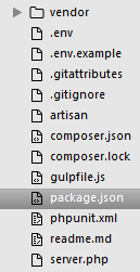 Le fichier package.json