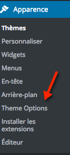 De nouveaux menus sont apparus après avoir installé le thème