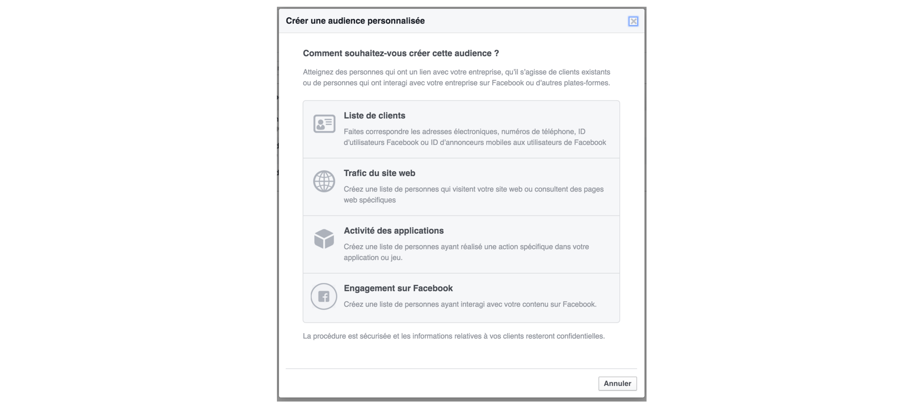 Différents types d'audience personnalisée