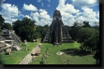 Pestrobarevná Guatemala