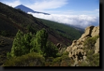 Tenerife