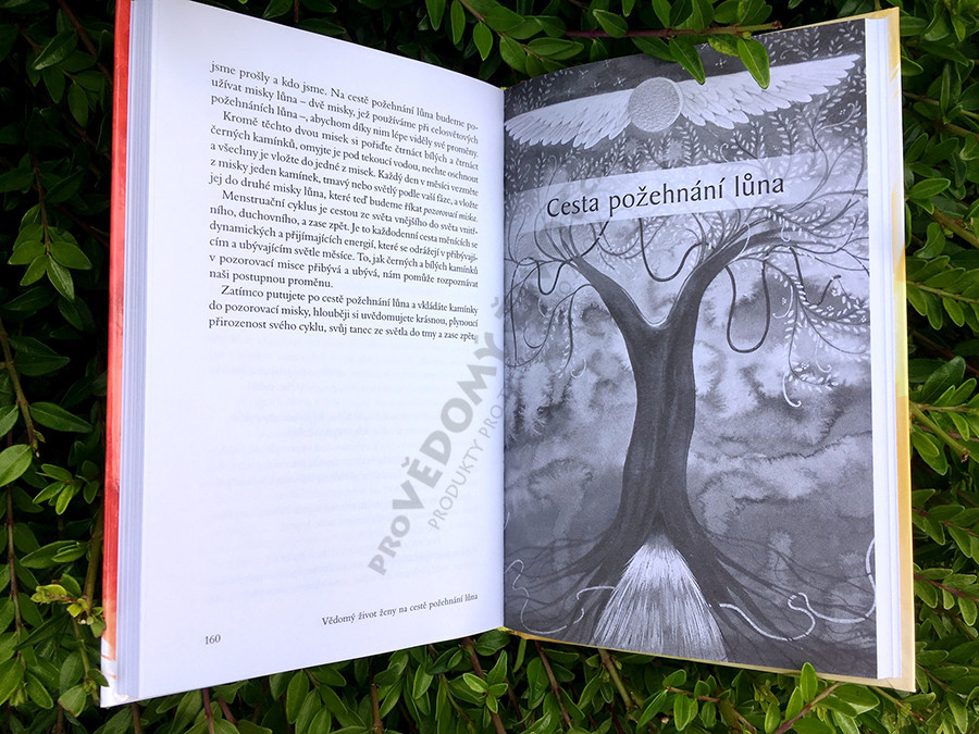 Probuzení ženské energie