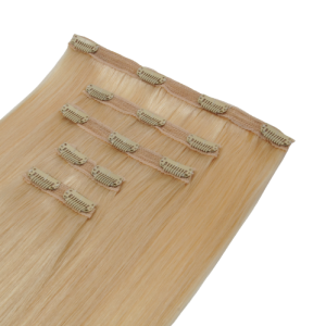 Clip In 5 Pcs Classic 50-52cm 24/Golden Sand