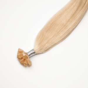 Nail tip Premium 53-55 cm 24/Golden Sand